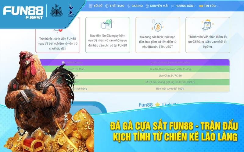 Các hình thức đá gà Fun88 hấp dẫn không nên bỏ qua