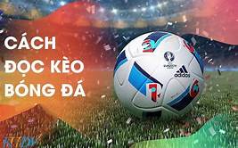 Cách đọc các tỷ lệ cược kèo châu Á là gì?