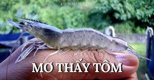 Mê ngủ thấy mình đang ăn tôm