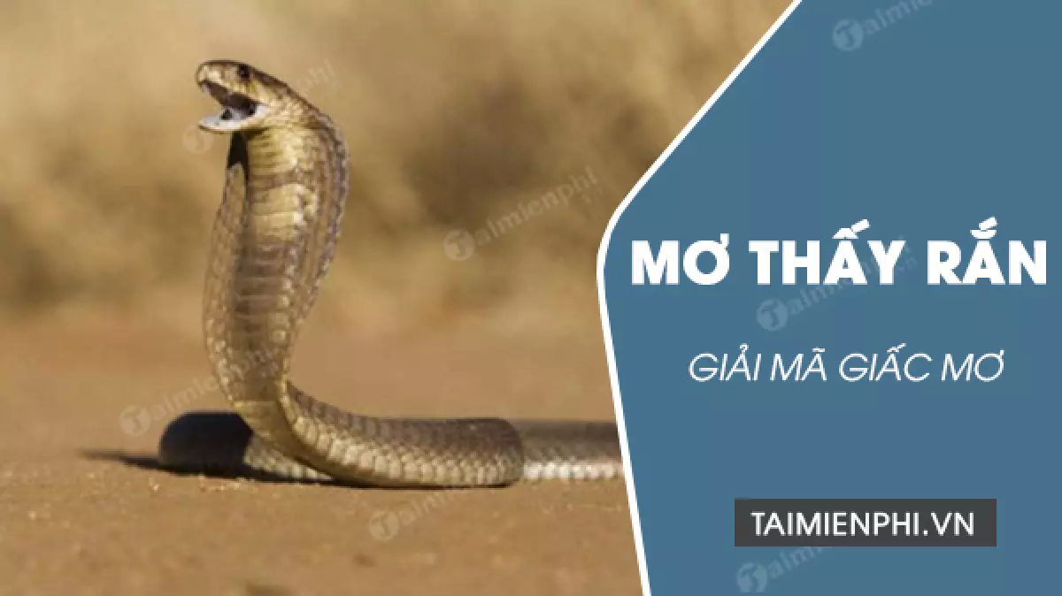 Mơ rắn đen quấn vào chân có ý nghĩa gì?