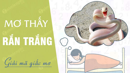 Những con số may mắn cá cược lô đề khi mơ thấy rắn trắng