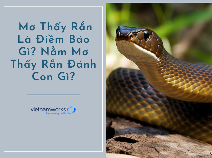 Mơ thấy đôi rắn trắng dự báo điềm gì?